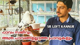 SR LOFTപാവം സജീറും അത്ര പാവങ്ങളല്ലാത്ത പ്രാവുകളുംNIBIN AUGUSTINE [upl. by Remliw]