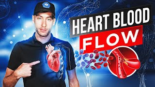 EMT School Heart Blood Flow  NREMT Review 🚑 [upl. by Niajneb]