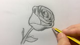 Cómo dibujar una rosa paso a paso [upl. by Atiugram]