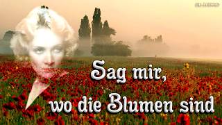 Sag mir wo die Blumen sind ☮ Anti war songEnglish translation [upl. by Sancho]