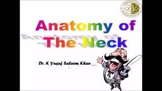 Anatomy  NECK  Complete  Dr Yusuf [upl. by Mcmillan234]