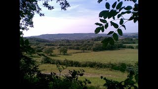 Jersey Park Briton Ferry [upl. by Eelyrag]