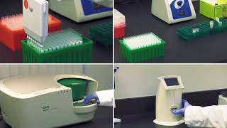 Droplet Digital PCR Whole Cell DNA Workflow Tips for Success [upl. by Constantino]