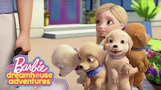 Les moments Plus Mignons  Barbie Dreamhouse Adventures  BarbieFrançais [upl. by Assillam]