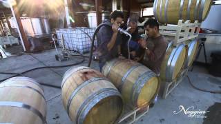 Vine to Wine Winemaking at Naggiar Vineyards [upl. by Llenyar]