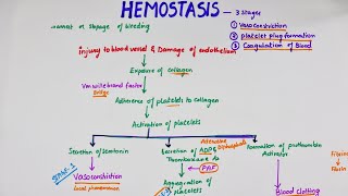 Hemostasis  Easy Flowchart  Physiology [upl. by Enilra592]