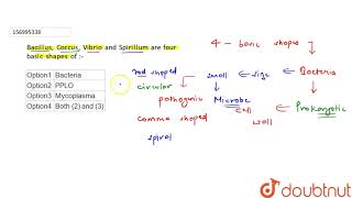 Bacillus Coccus Vibrio and Spirillum are four basic shapes of [upl. by Ailisec]