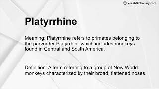 Platyrrhine Meaning [upl. by Liza881]