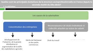 Quelles sont les principales évolutions de la structure socioprofessionnelle [upl. by Richardo]