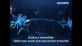 Grundlagen 6 Synapsen neurotech [upl. by Hoj]