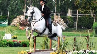 Working Equitation a Fun Way to Train Seriously  Pedro Neves clinic [upl. by Bickart]