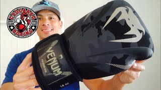 Venum Impact Boxing Gloves REVIEW MY FAVORITE VENUM GLOVES UNDER 100 [upl. by Laved728]