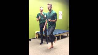 Posterior Tibial Exercises with Dr Leo Kormanik [upl. by Iveksarap]