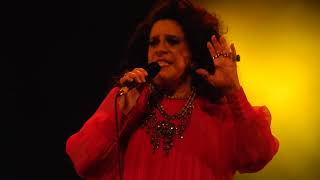 Gal Costa  As curvas da estrada de Santos [upl. by Aved896]