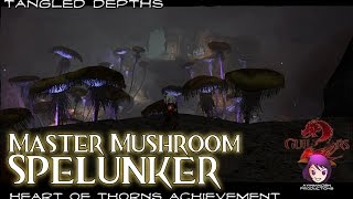 Guild Wars 2  Master Mushroom Spelunker achievement [upl. by Silohcin271]