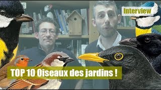 TOP 10 oiseaux des jardins [upl. by Ericha]