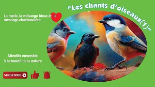 les chants doiseaux 1 [upl. by Laure]