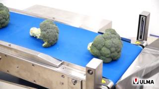 Trayless packaging of a wide range of vegetables in a flow pack machine HFFS [upl. by Akemahc]