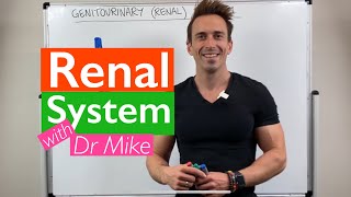 Renal System  Overview [upl. by Keram746]