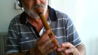 Concerning Hobbits  Quena flute [upl. by Varien]