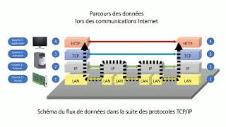 Cest quoi le TCPIP [upl. by Picco]