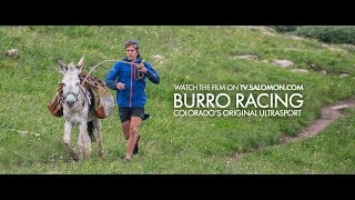 Burro  Salomon TV [upl. by Rayburn]