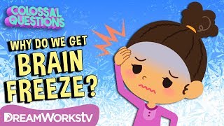 Why Do We Get Brain Freeze  COLOSSAL QUESTIONS [upl. by Jenesia]