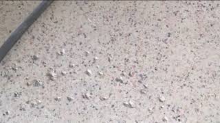 How to Deep Clean Terrazzo Tile Floors [upl. by Shenan]