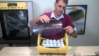 Brinsea Octagon Eco 20 amp 40 Egg Incubator Clip 4 Setting amp Turning the eggs [upl. by Ricki91]