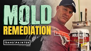 Mold Remediation How to Get Rid of Mold [upl. by Ahsienad]