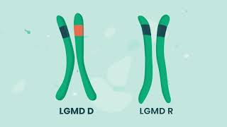 X Linked Recessive Inheritance  Everything You Need To Know  Dr Nabil Ebraheim [upl. by Iraam]