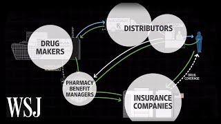 How Drug Prices Work  WSJ [upl. by Teiluj]