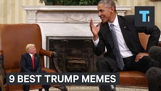 9 Best Memes From Trumps First 100 Days In Office [upl. by Ialocin150]