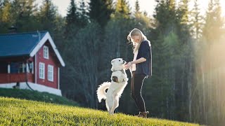 SPRING AT HOME  22 Life in Norway [upl. by Hacissej]