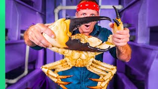 Japanese Chef Prepares GIANT Tasmanian CRAB Over 700 [upl. by Gilmour914]