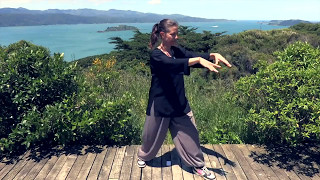 Tai Chi 5 Minutes a Day Module 01  Easy for Beginners  the Wave and Embracing the Moon [upl. by Hazlett]