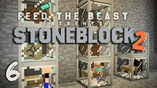 StoneBlock 2 Modpack Ep 6 Automatic Sieve Setup  Item Sorting [upl. by Bouchier]