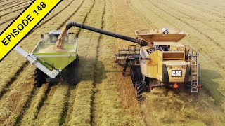 2020 California USA Rice Harvest  Tractor Video [upl. by Gilles]