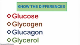 Glucose Glycogen Glucagon and Glycerol [upl. by Amak]