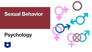 Sexual Behavior  Psychology [upl. by Dina156]