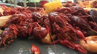 How to quotBOIL CRAWFISHquot Louisiana Style [upl. by Yasu]