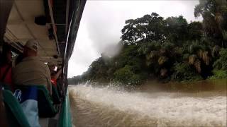 Tortuguero National Park [upl. by Ocisnarf579]