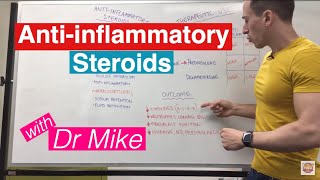 Antiinflammatory Steroids [upl. by Rolyat]