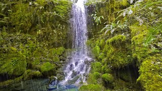 Raining Sounds by Tropical Waterfall with Distant Thunder  White Noise for Sleep [upl. by Ja97]