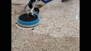 How to polish and seal a Terrazzo floor [upl. by Sherborne8]