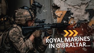 Royal Marines  In Combat with 43 Commando in Gibraltar [upl. by Burnett]