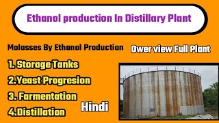 Ethanol Production From Molasses in Distillary Plantschemicaltechnical [upl. by Leonore]