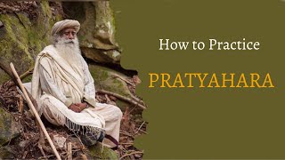 Episode 30 What is Pratyahara  How to Practise it  SADHGURU AND SADHANA [upl. by Latt]