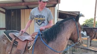 Horse Training  First Ride First Mount [upl. by Eimia596]