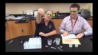 Enzyme lab introduction [upl. by Annalise]